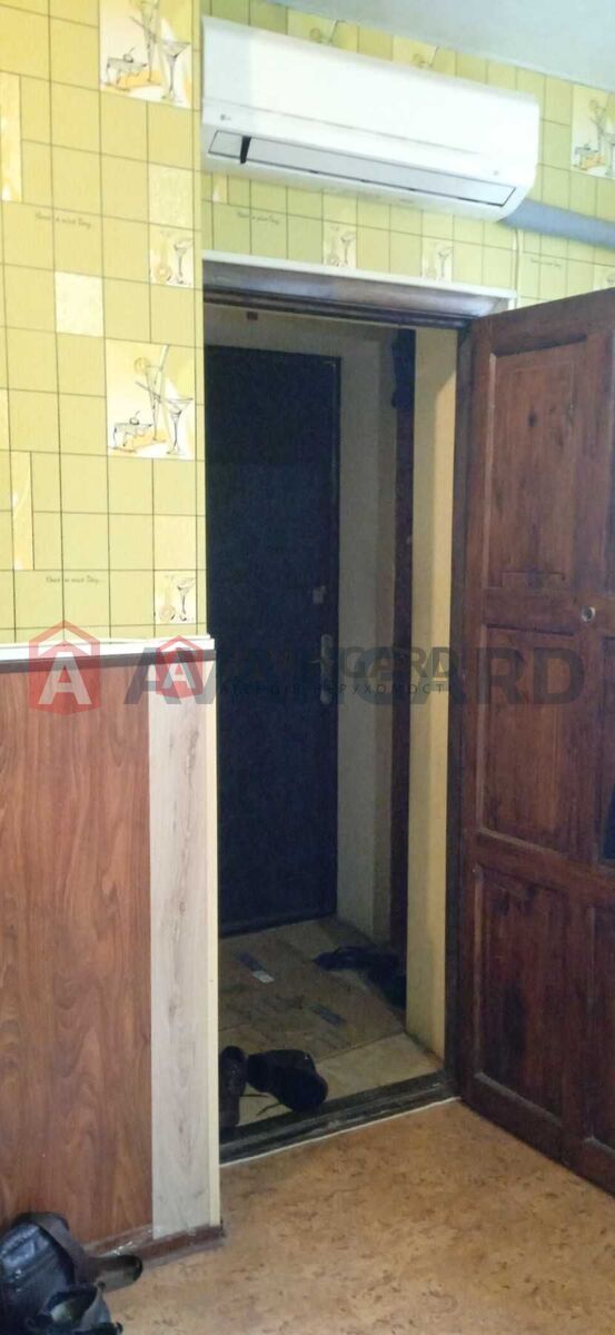 ����� ����, 33 ��.�. ���� 5