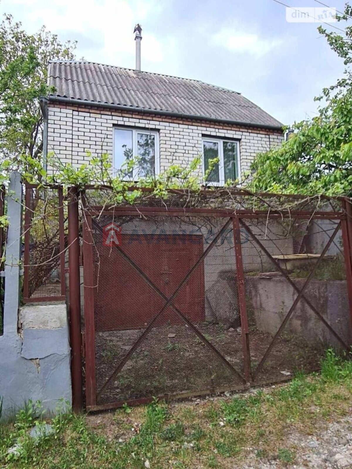 �������, 50 ��.�. ���� 2