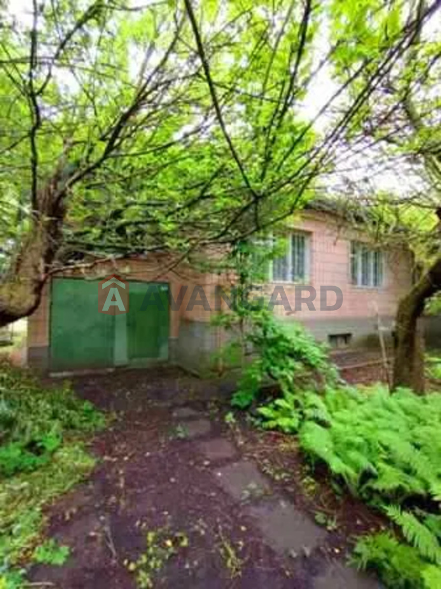 �������, 164 ��.�. ���� 2