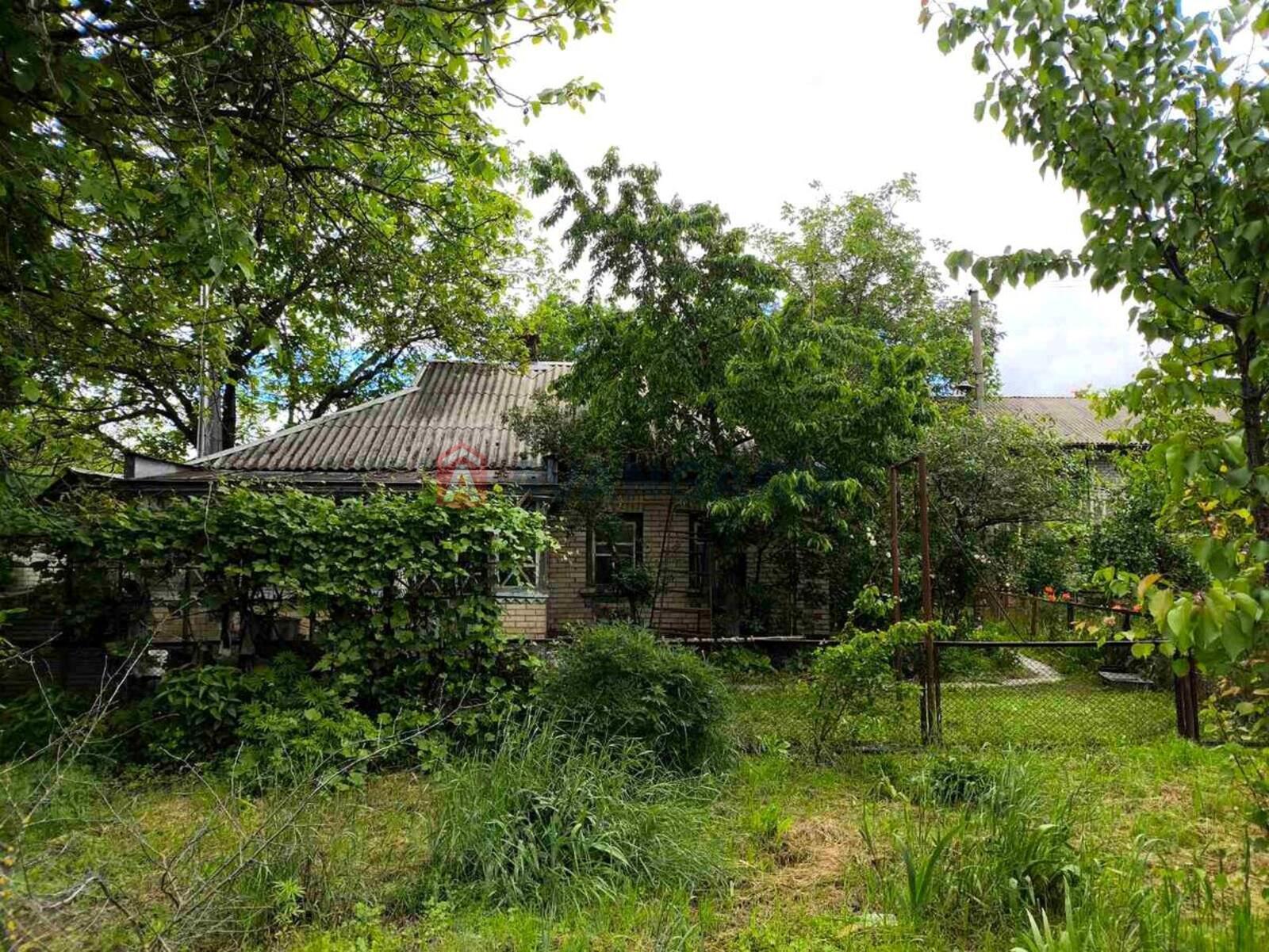 �������, 61 ��.�. ���� 1