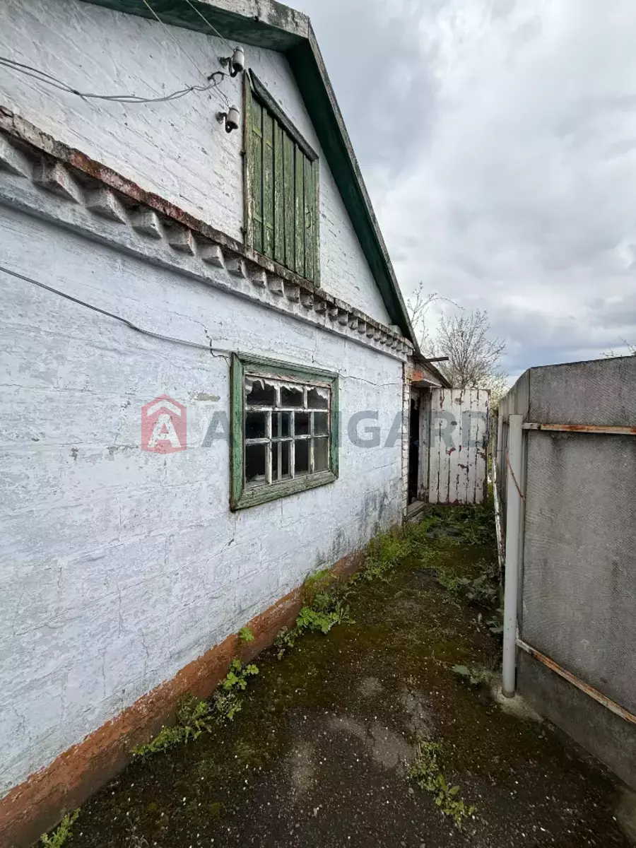 �������, 50 ��.�. ���� 14