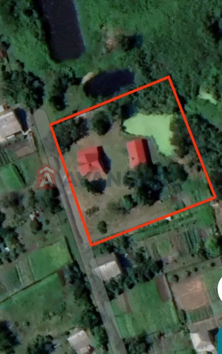 ����, 100 ��.�. ���� 24