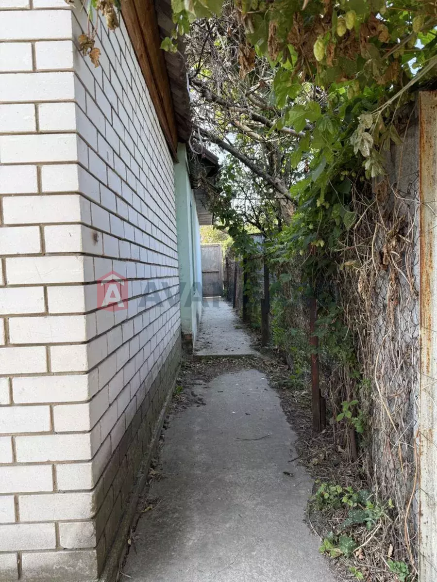 ������� �������, 37 ��.�. ���� 8