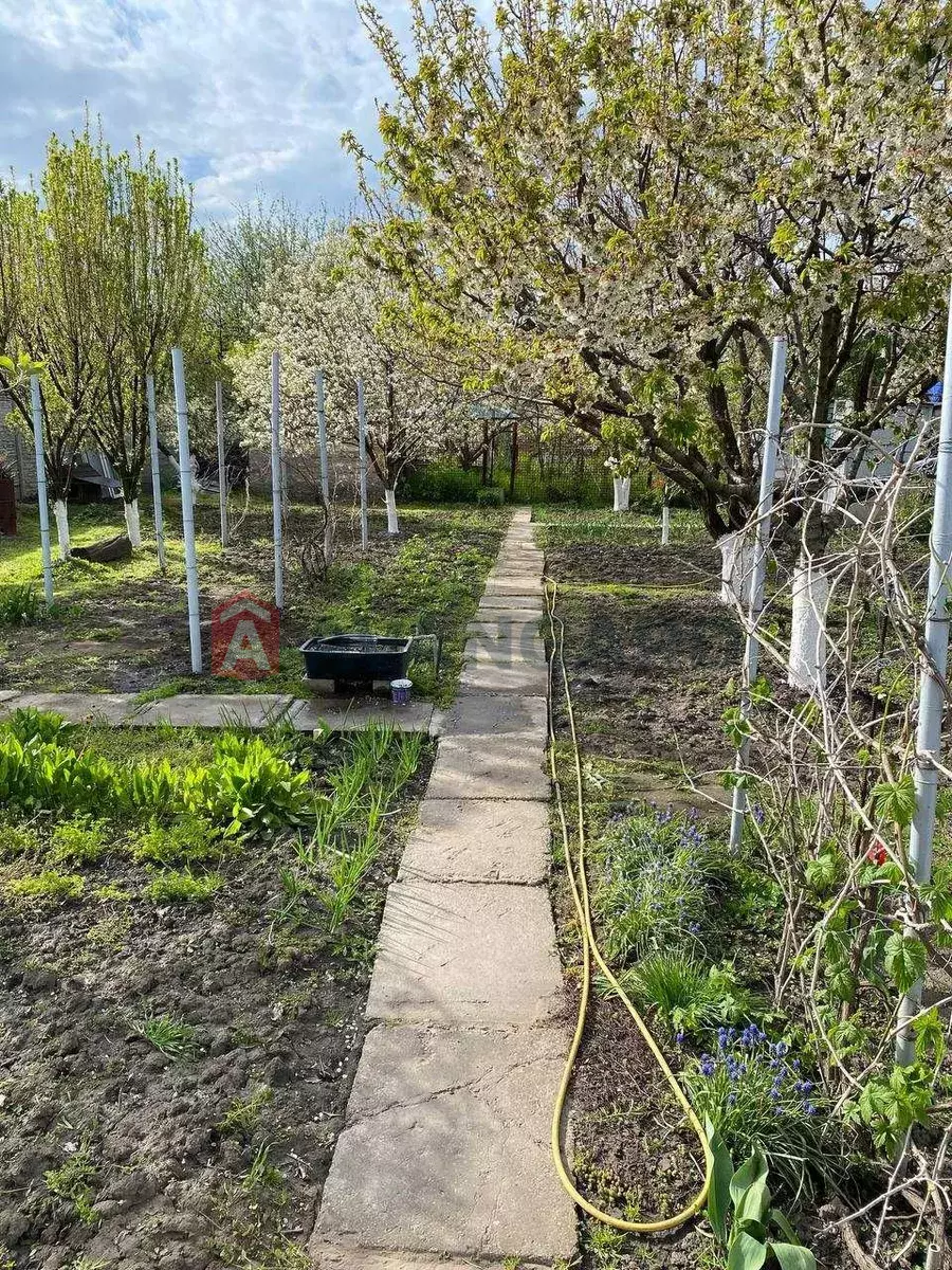 ����, 46 ��.�. ���� 12