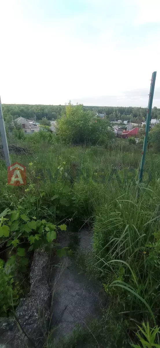 ����, 23 ��.�. ���� 2