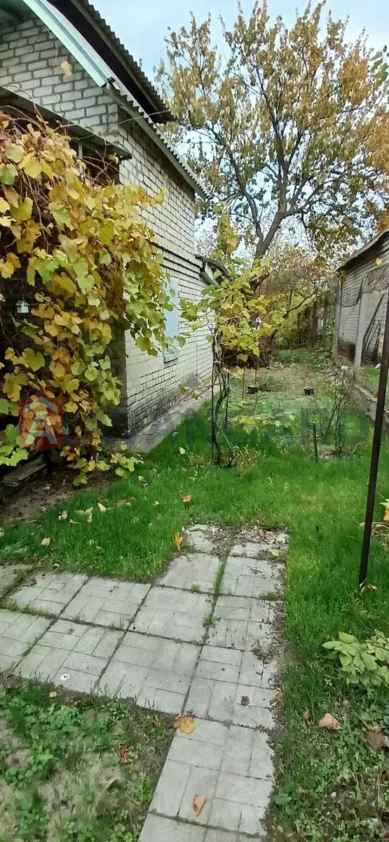 ����, 120 ��.�. ���� 8