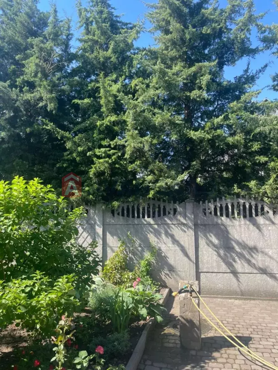 �������, 90 ��.�. ���� 4