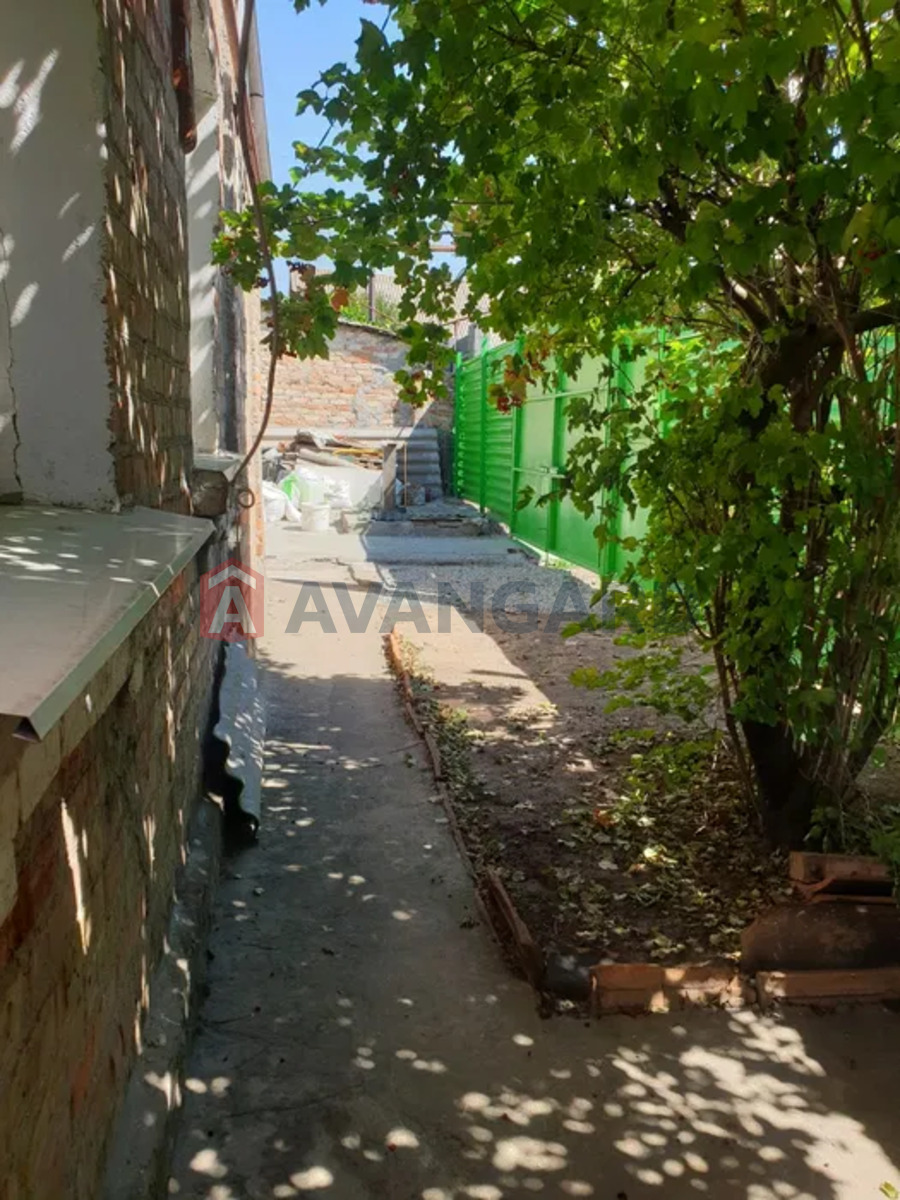 �������, 37 ��.�. ���� 5