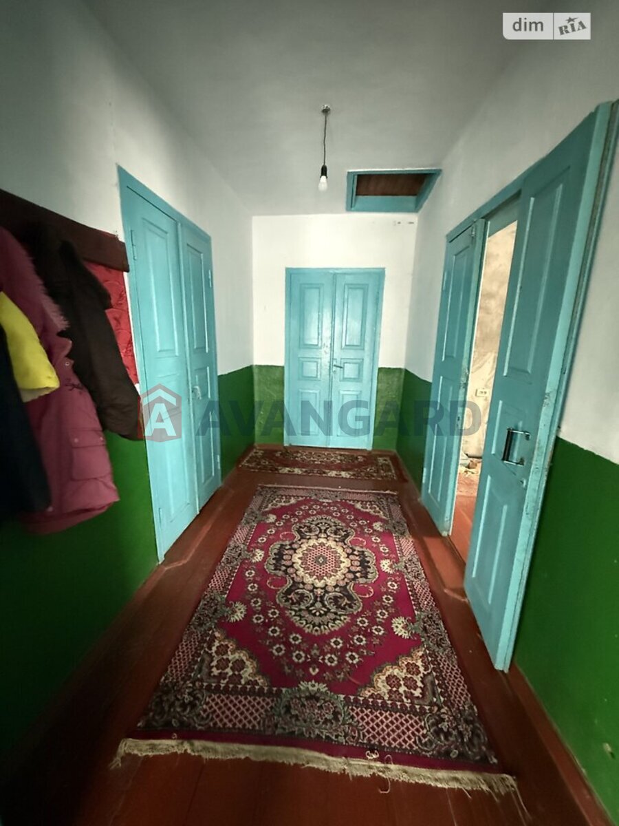 �������, 115 ��.�. ���� 11