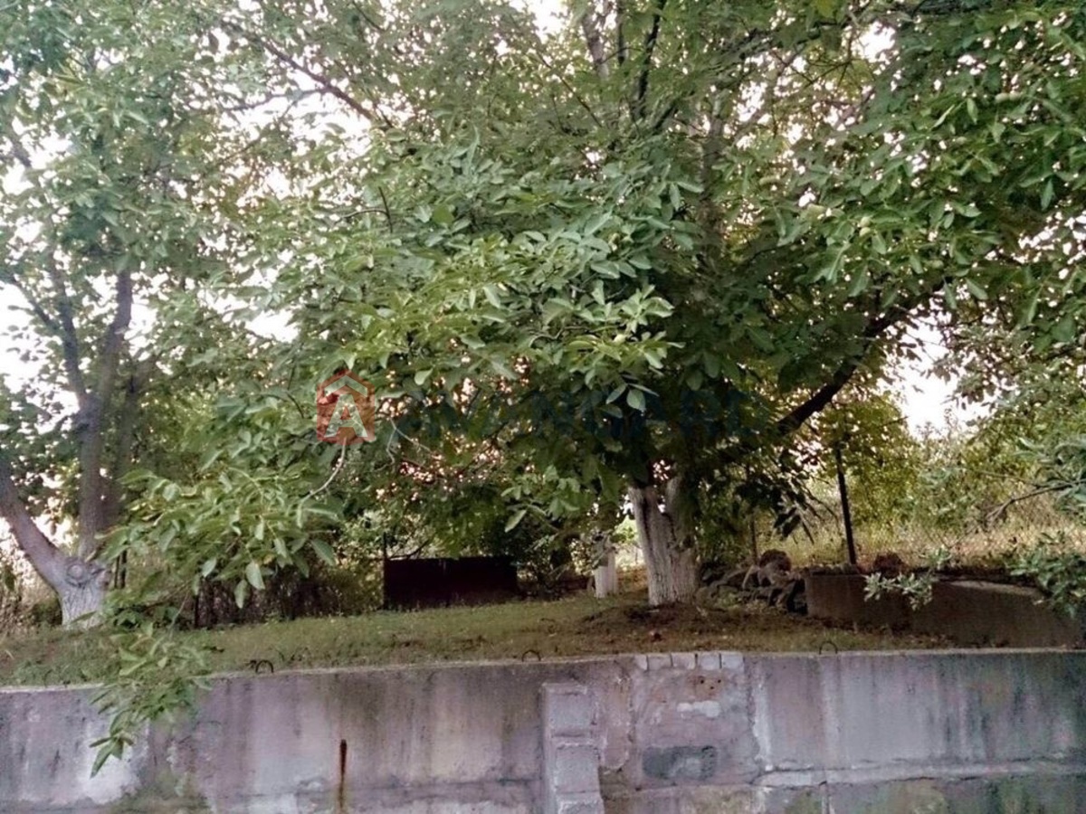 �������, 348 ��.�. ���� 5