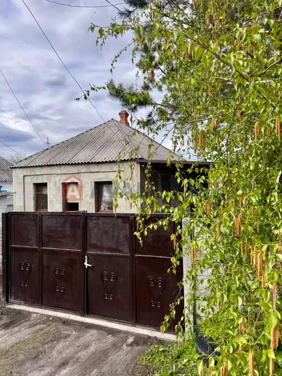 �������, 55 ��.�. ���� 11