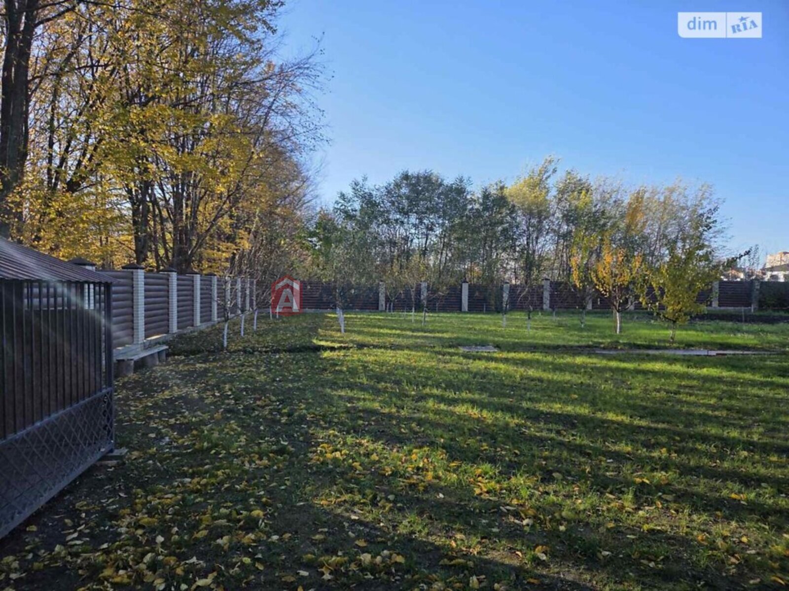 �������, 375 ��.�. ���� 13