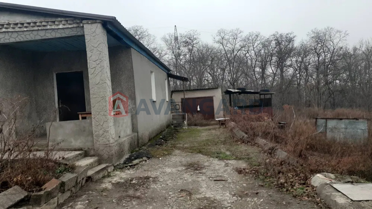 ���, 80 ��.�. ���� 3