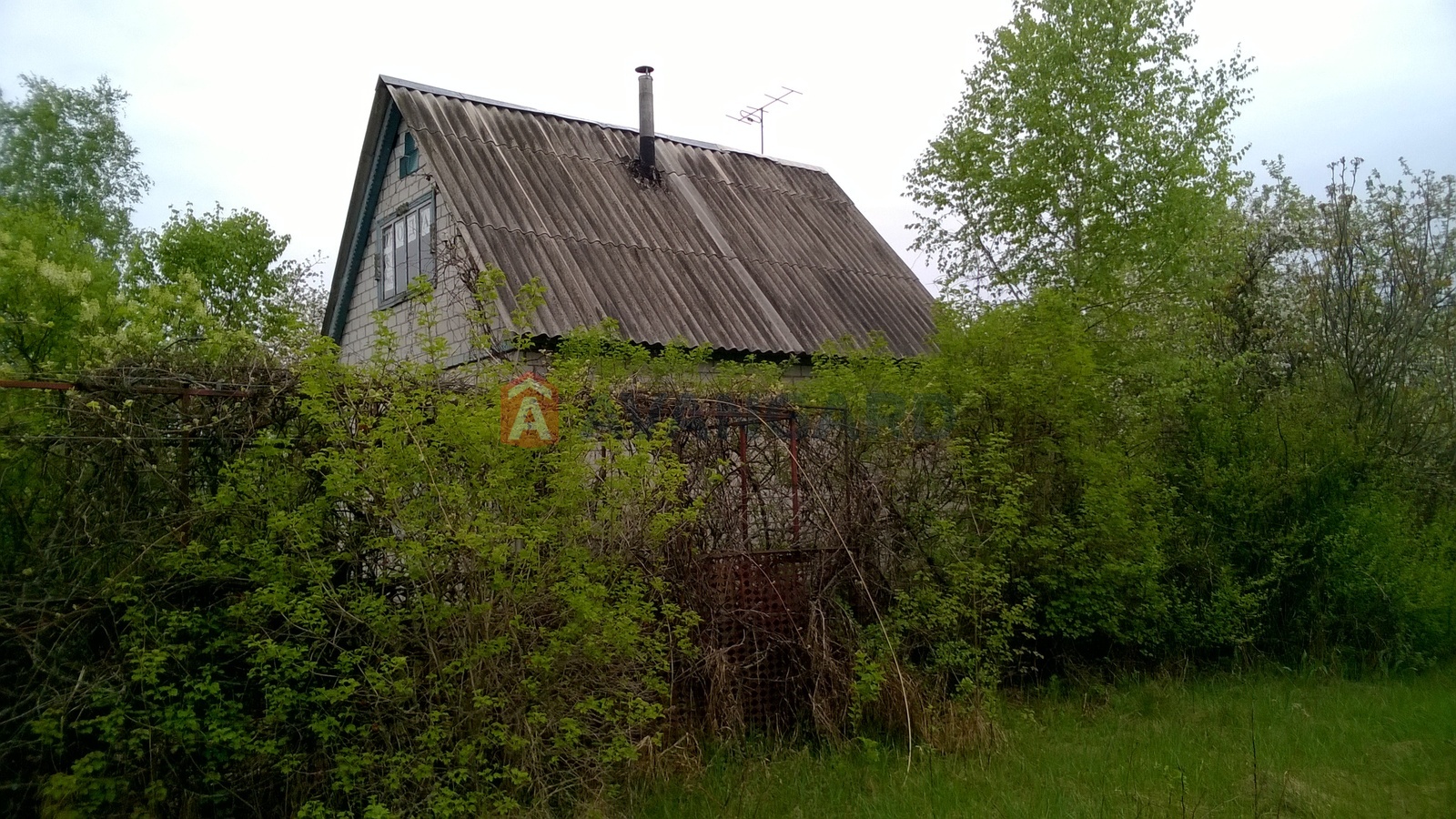 ����, 50 ��.�. ���� 27