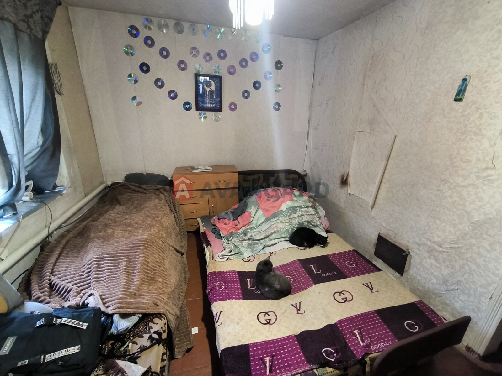 �������, 43 ��.�. ���� 11