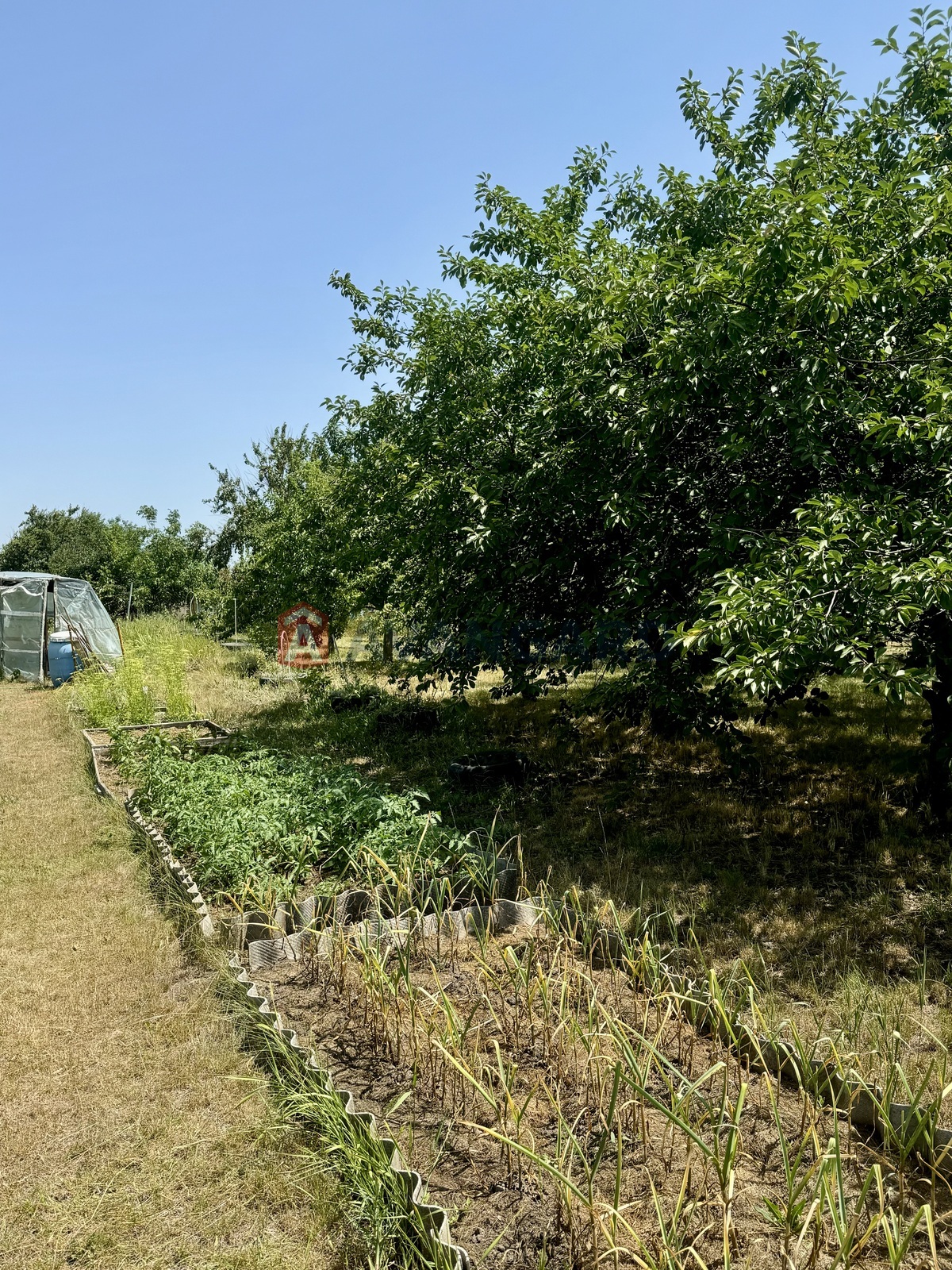 ���, 191 ��.�. ���� 14