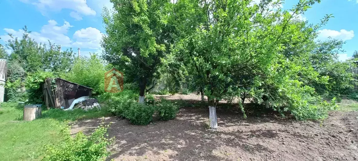 �������, 67 ��.�. ���� 19