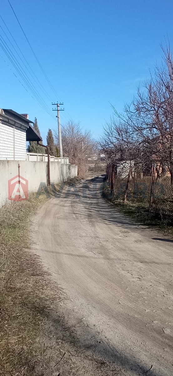 ����, 50 ��.�. ���� 12