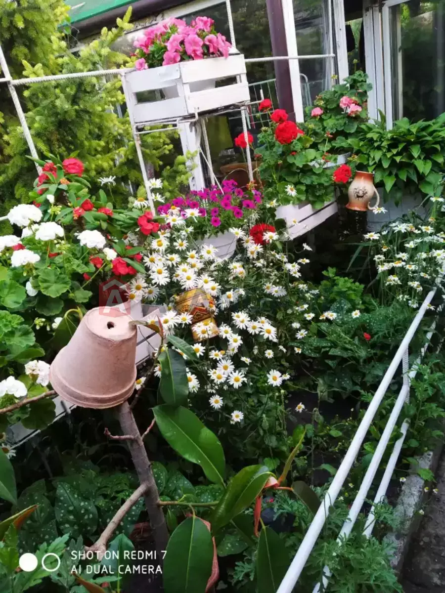 ���, 65 ��.�. ���� 26