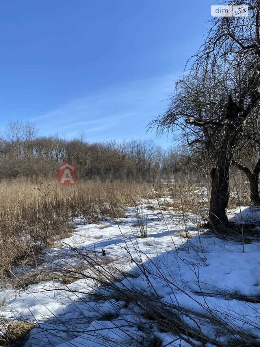 �������, 80 ��.�. ���� 1