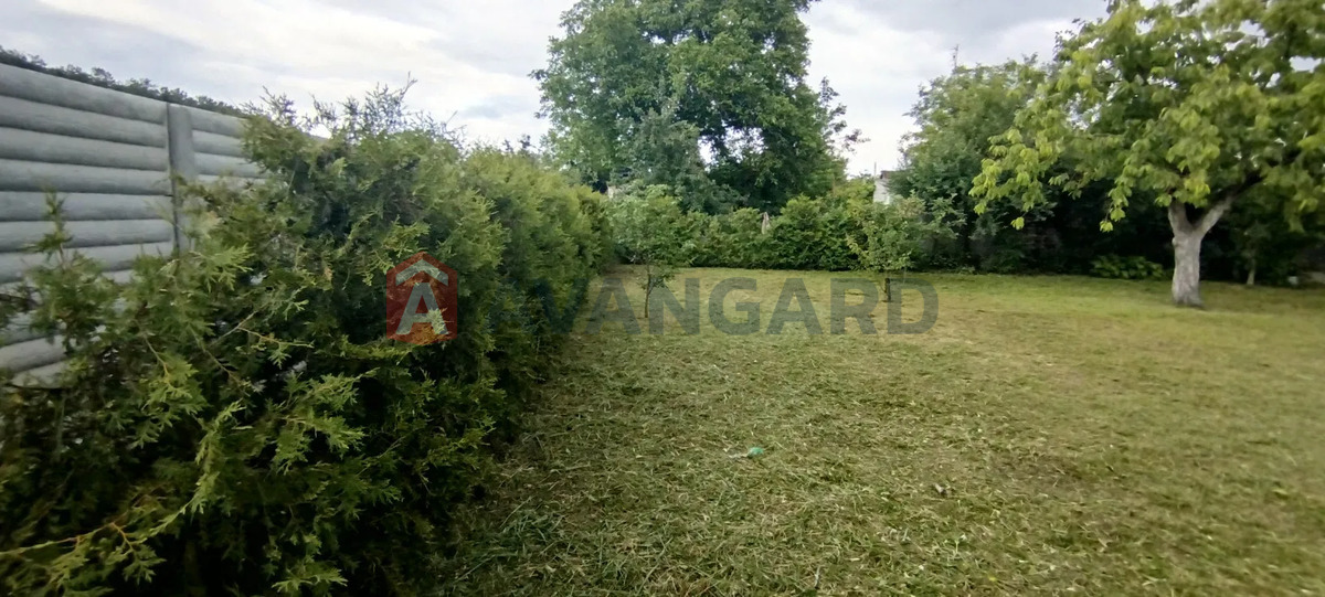 ����, 40 ��.�. ���� 2