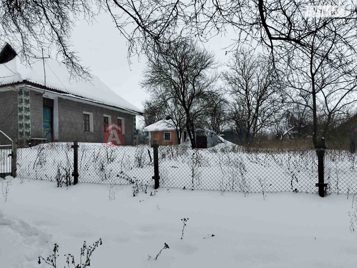 �������, 40 ��.�. ���� 5