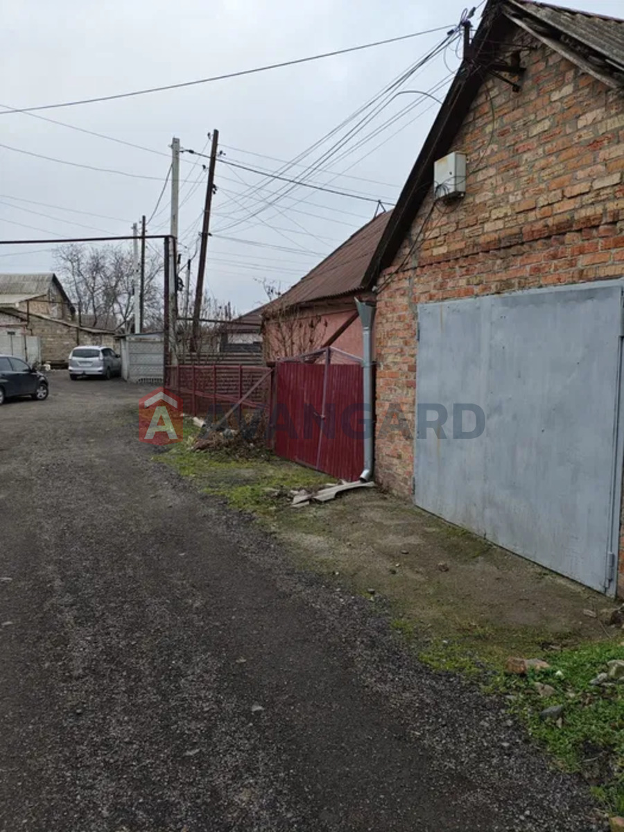 �������, 82 ��.�. ���� 3