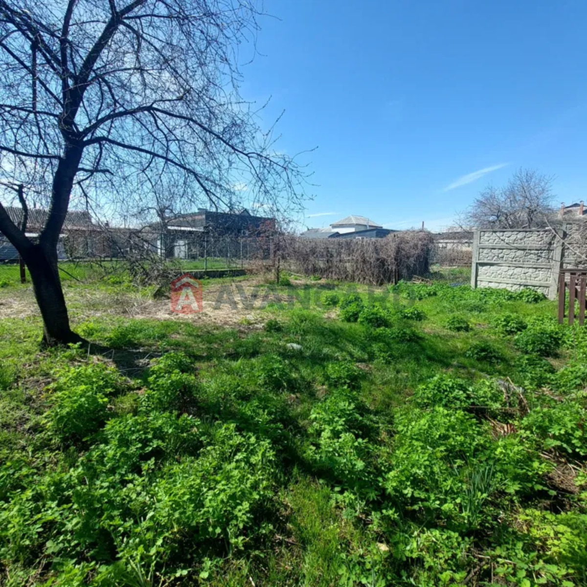 �������, 200 ��.�. ���� 22