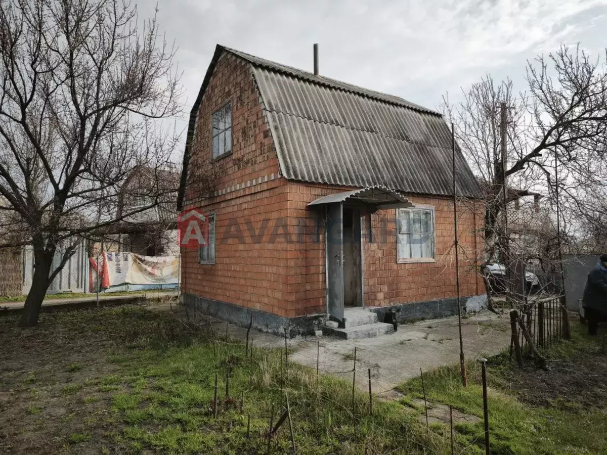 ����, 50 ��.�. ���� 1