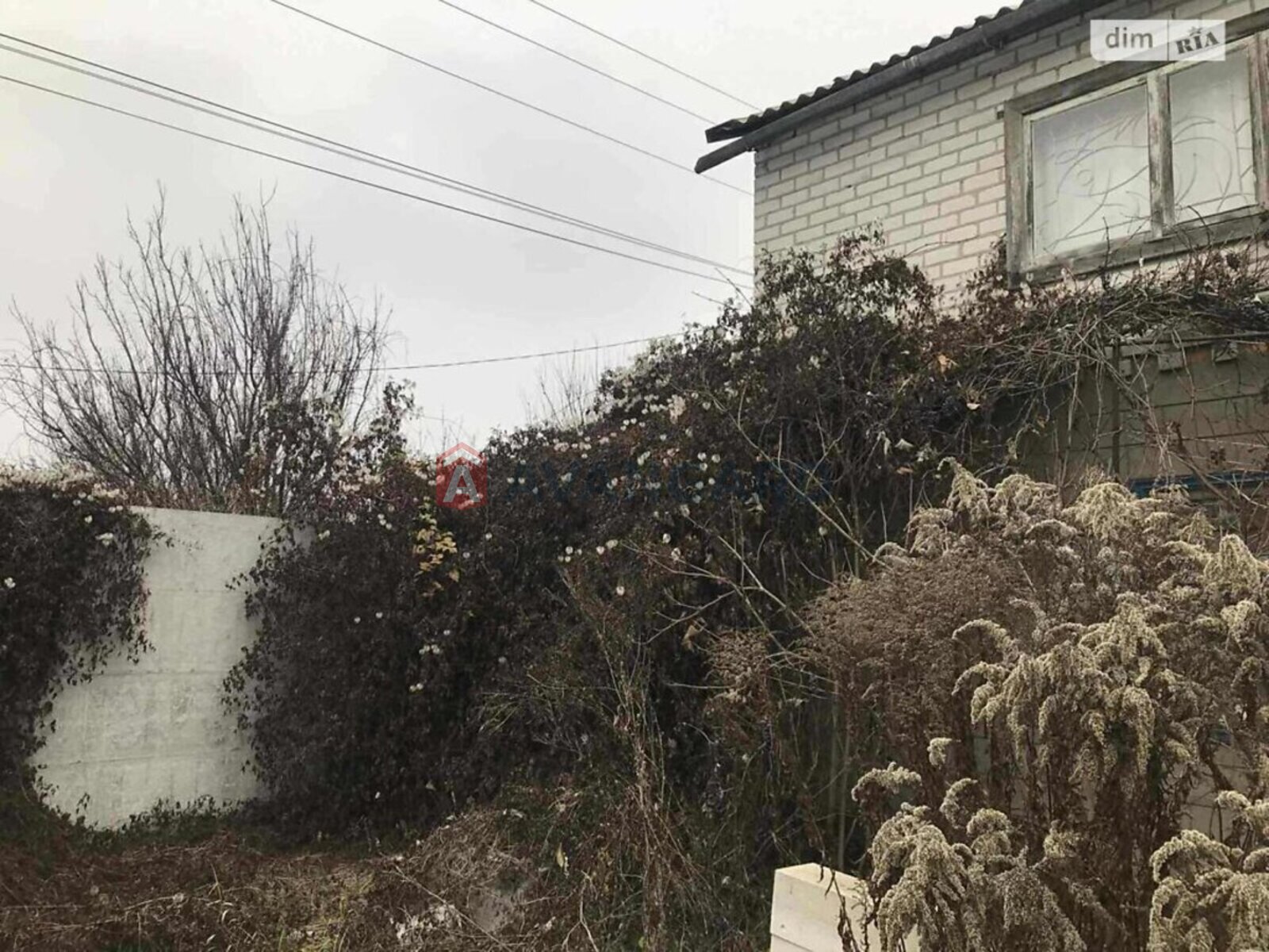 ����, 120 ��.�. ���� 19