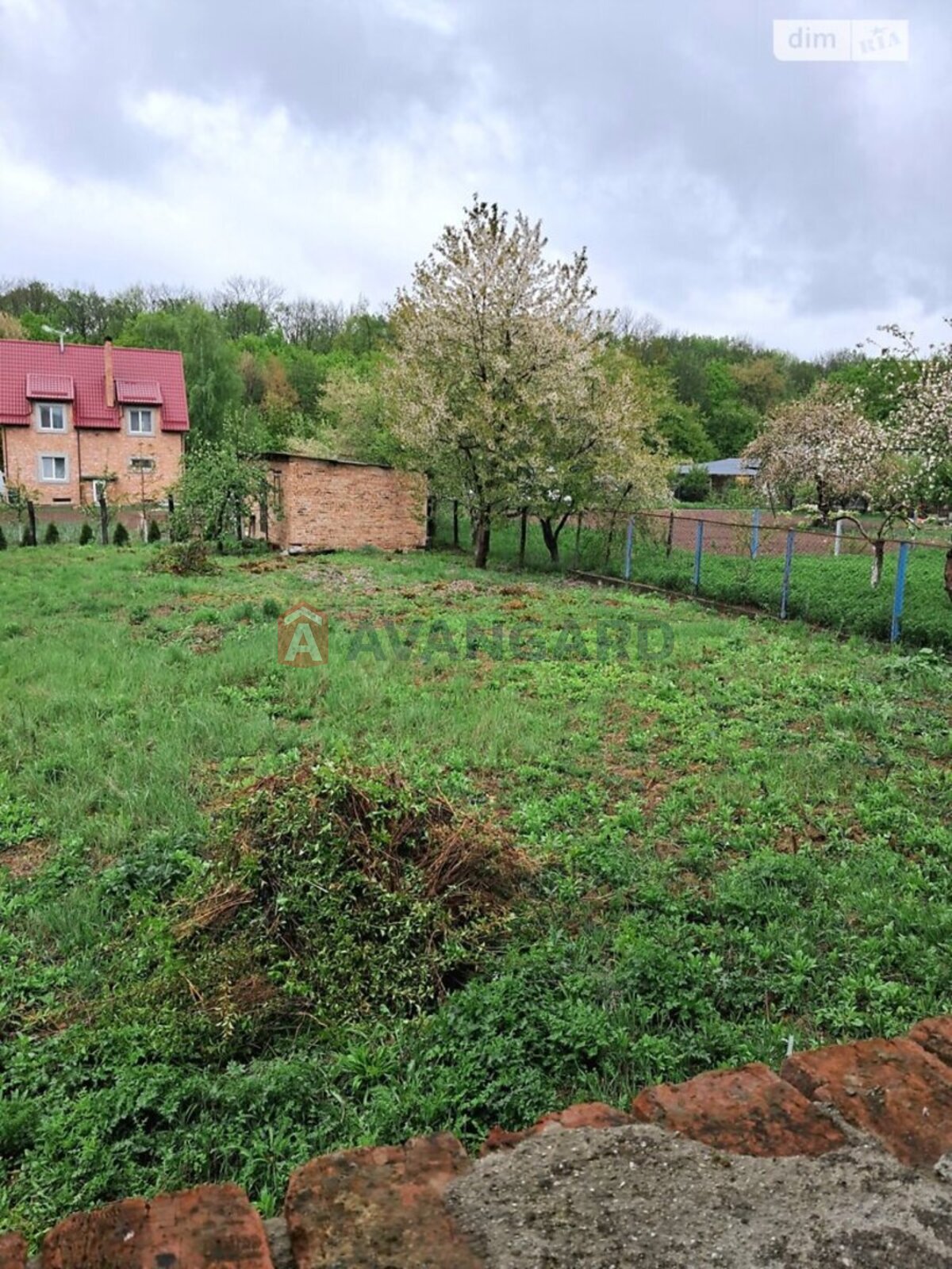 �������, 175 ��.�. ���� 11