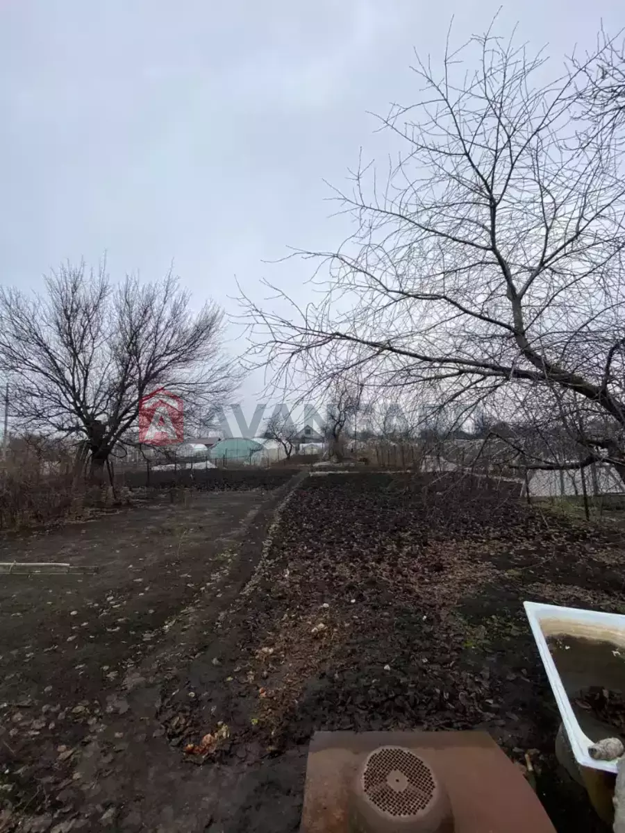 �������, 163 ��.�. ���� 29