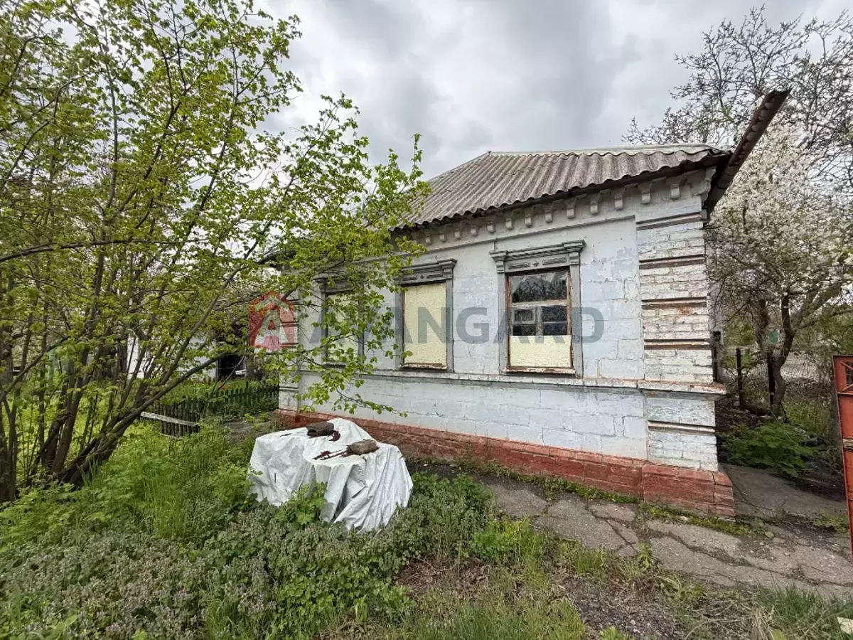 �������, 50 ��.�. ���� 3