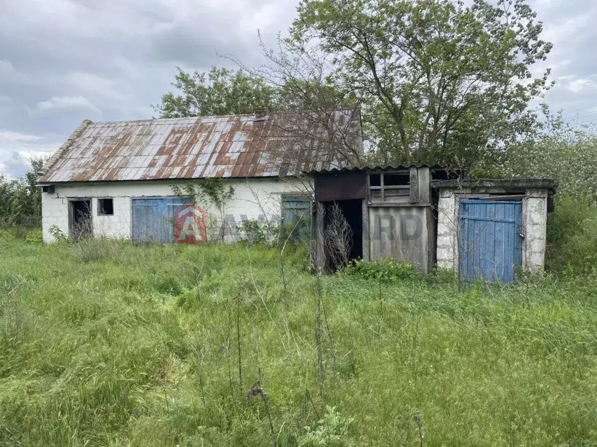 �������, 60 ��.�. ���� 1