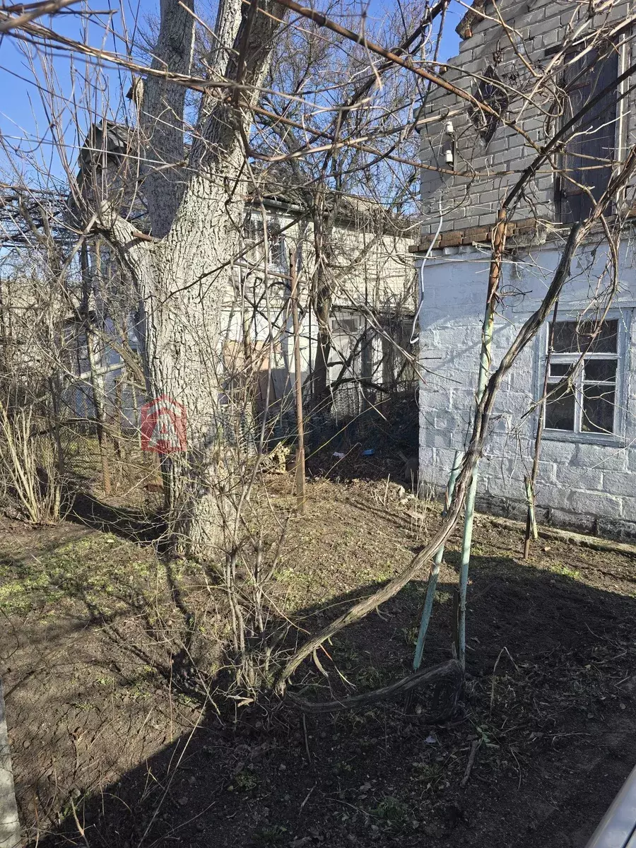 ����, 10 ��.�. ���� 5