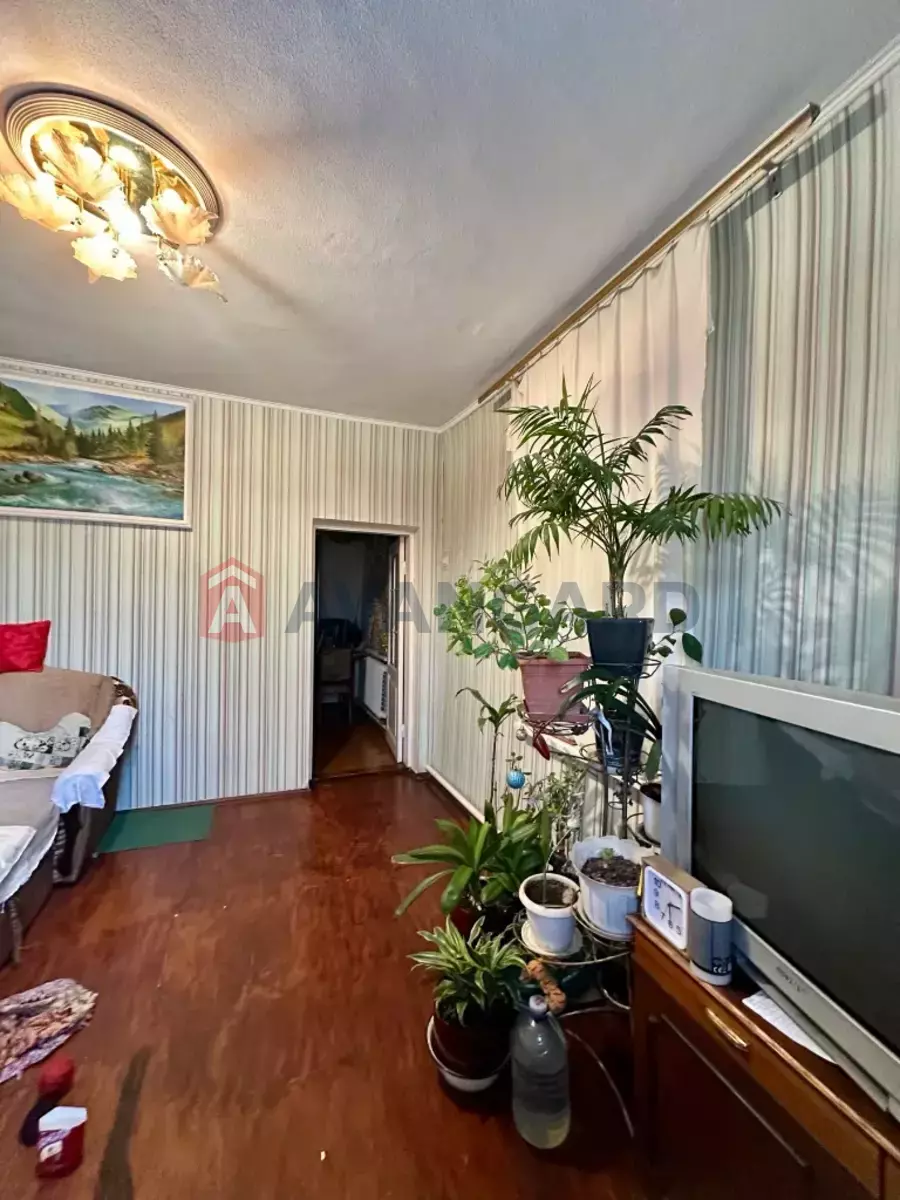 �������, 146 ��.�. ���� 17