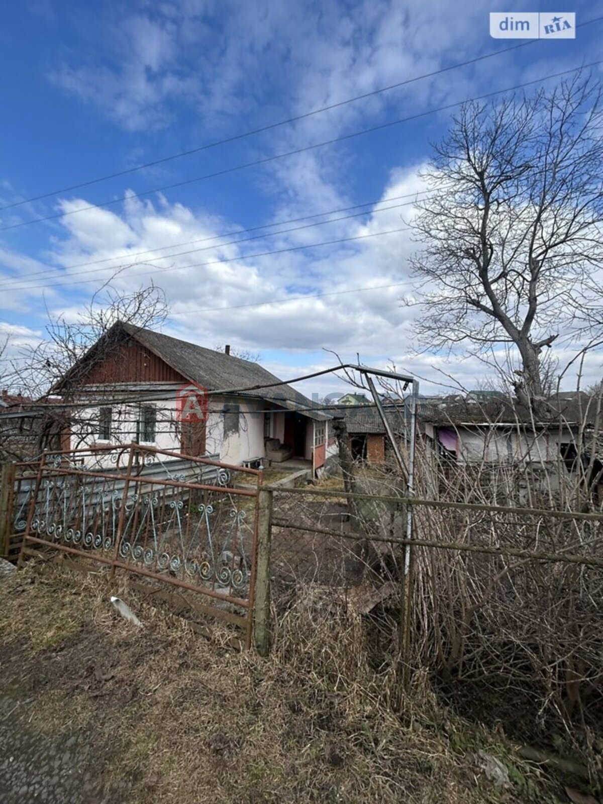 �������, 40 ��.�. ���� 2