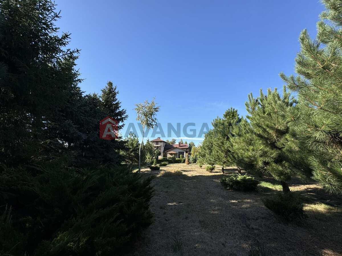 ���, 210 ��.�. ���� 8