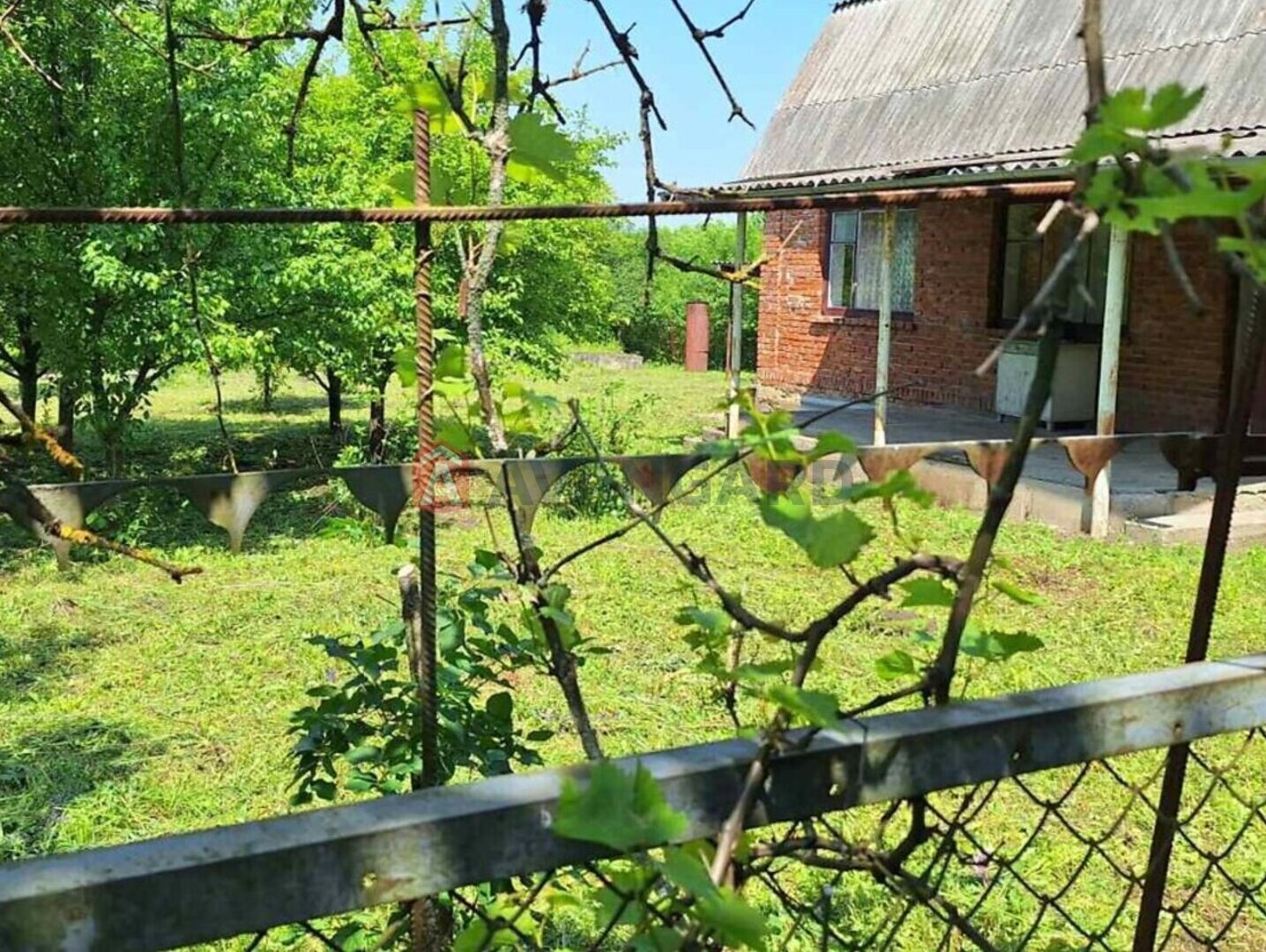 �������, 44 ��.�. ���� 1