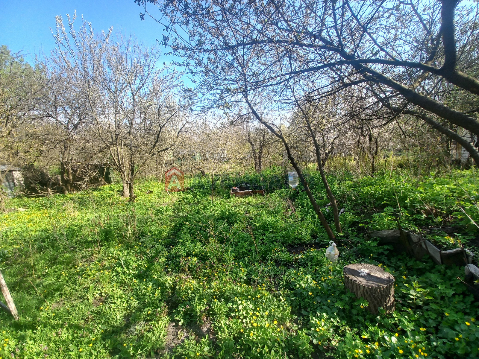 ����, 72 ��.�. ���� 7