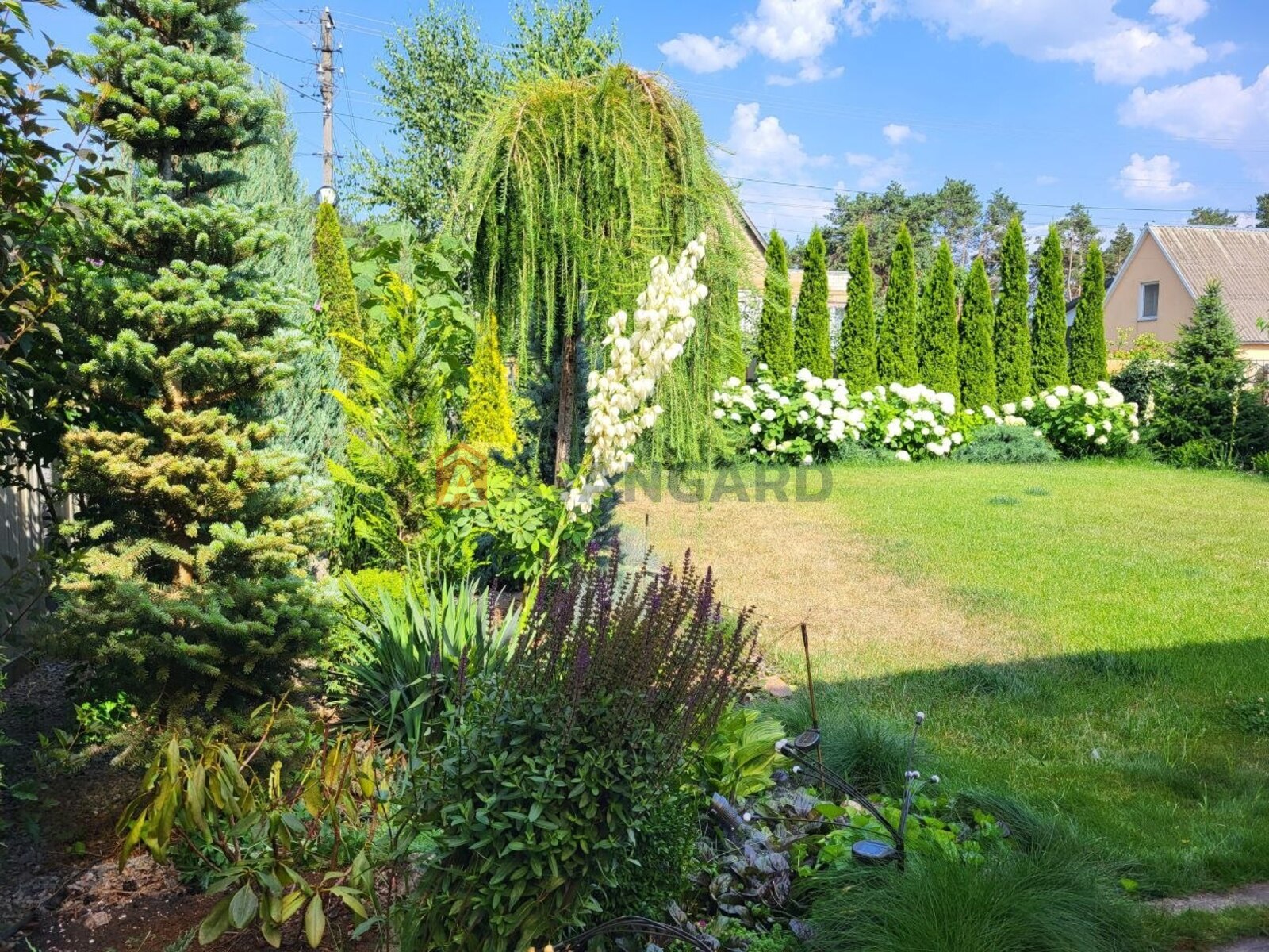 �������, 105 ��.�. ���� 19