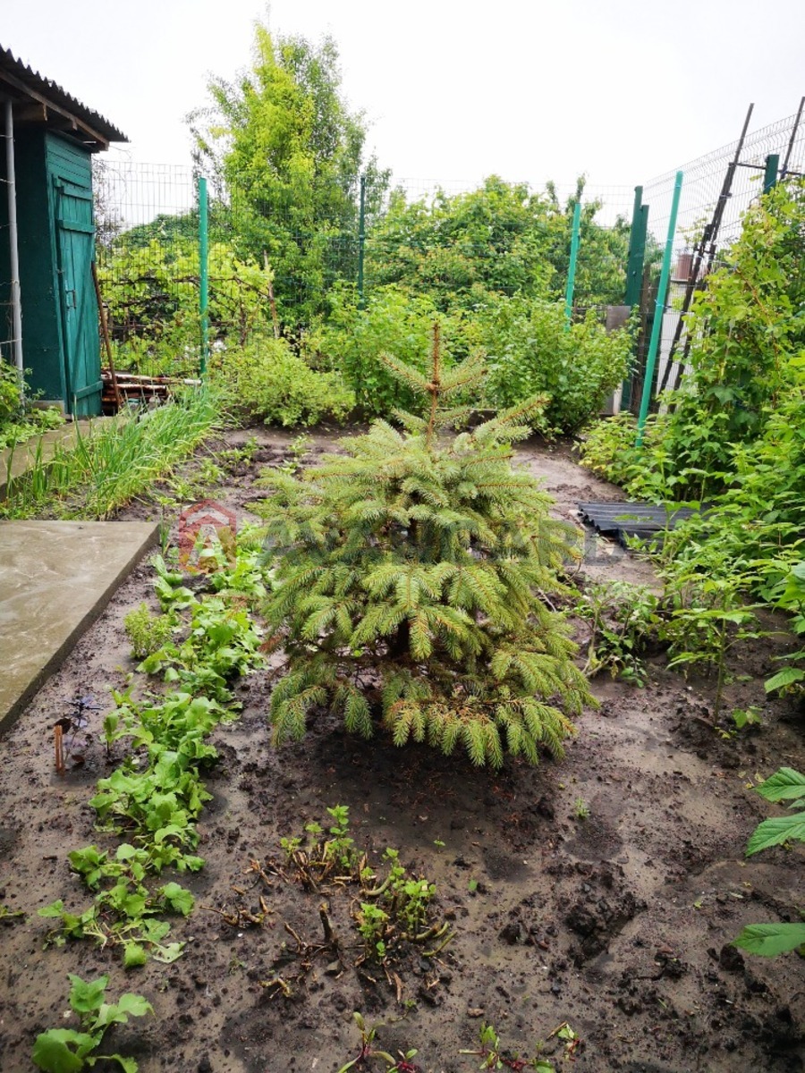 ������� �������, 100 ��.�. ���� 14