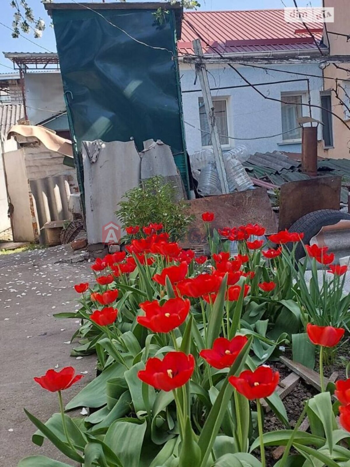 ������� �������, 30 ��.�. ���� 7