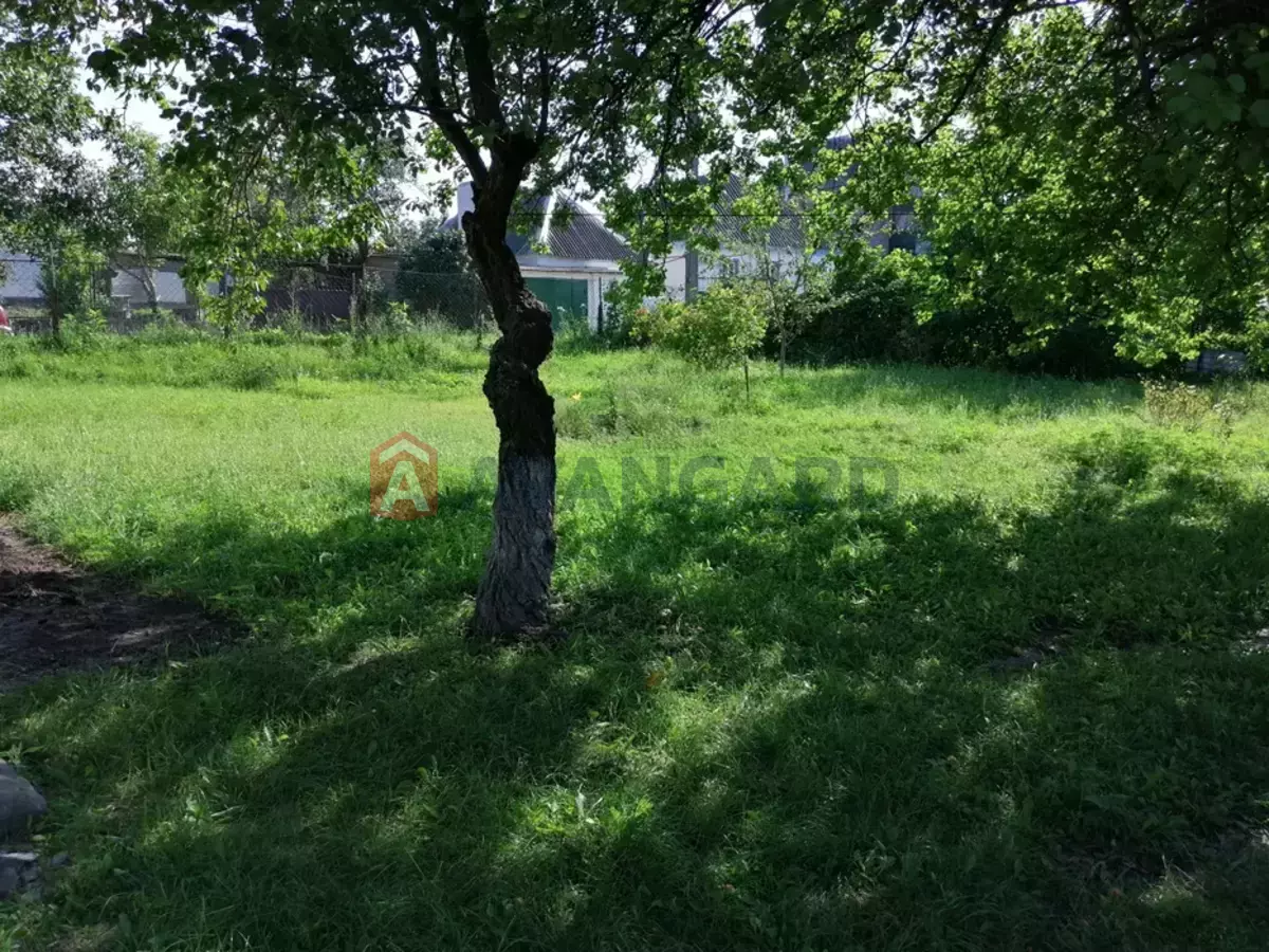 ���, 62 ��.�. ���� 4