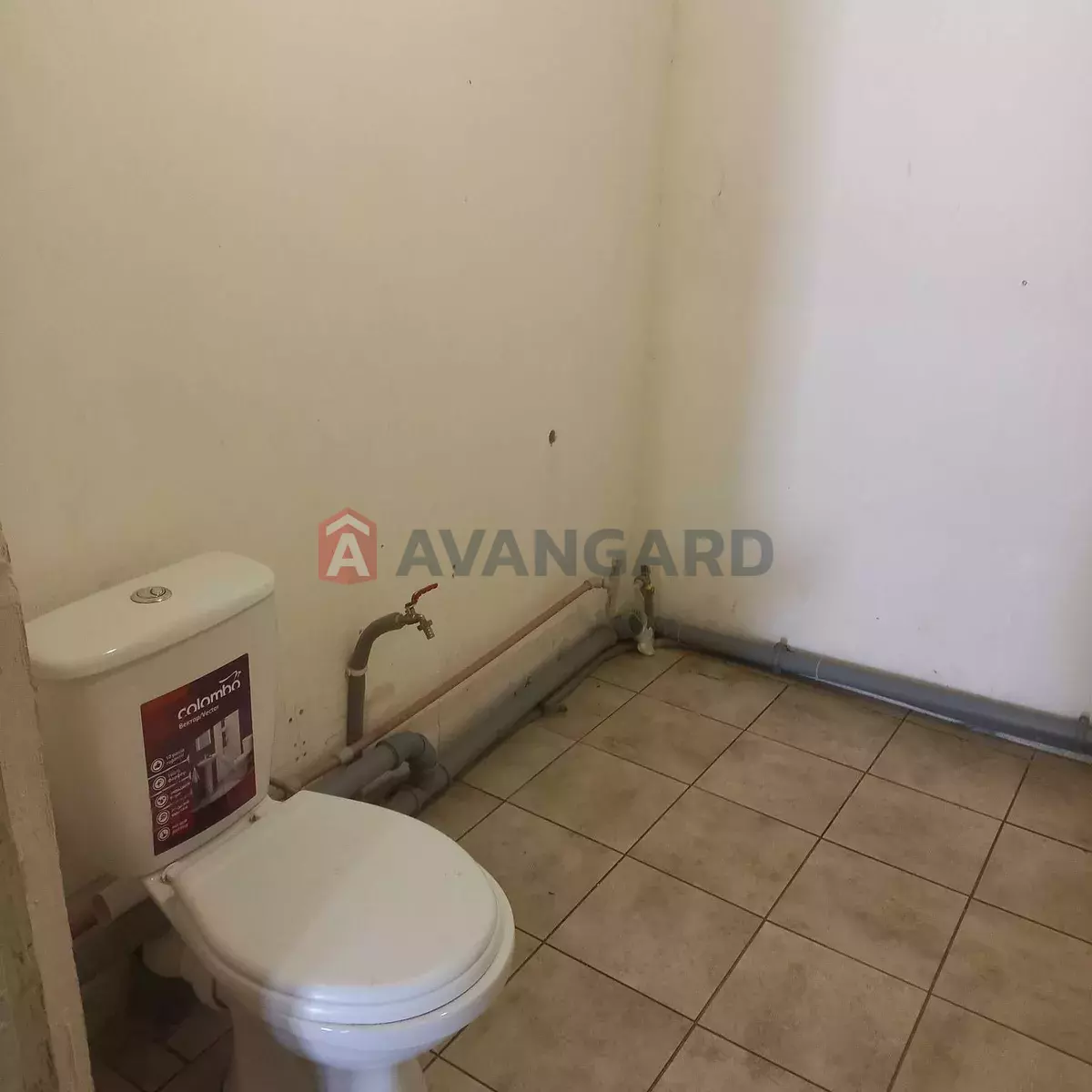 �������, 58 ��.�. ���� 20