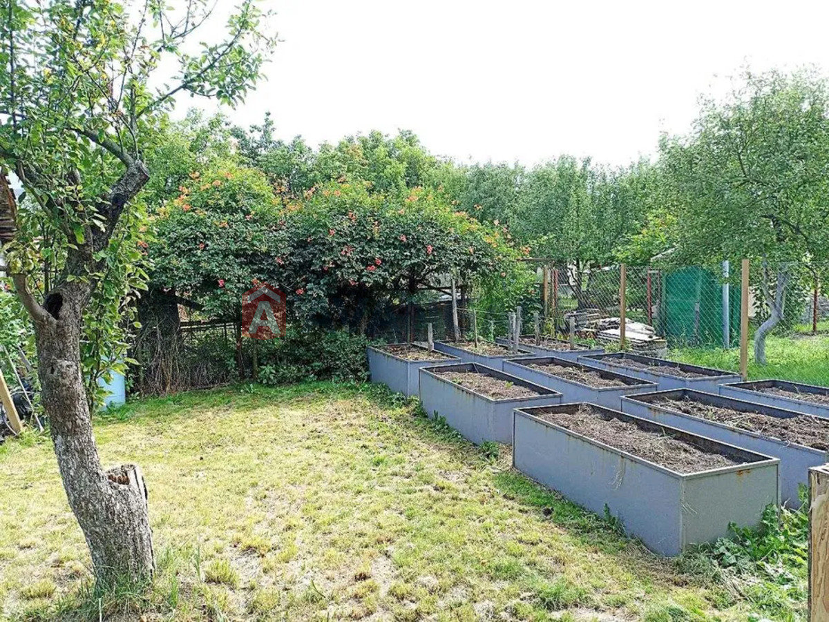 �������, 170 ��.�. ���� 8