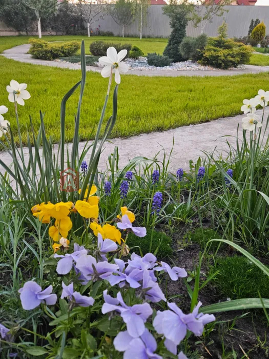 ���, 190 ��.�. ���� 22