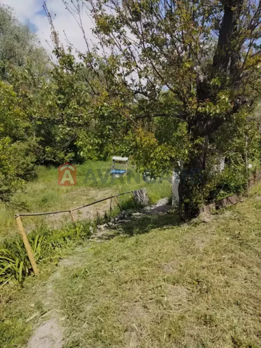 �������, 54 ��.�. ���� 15