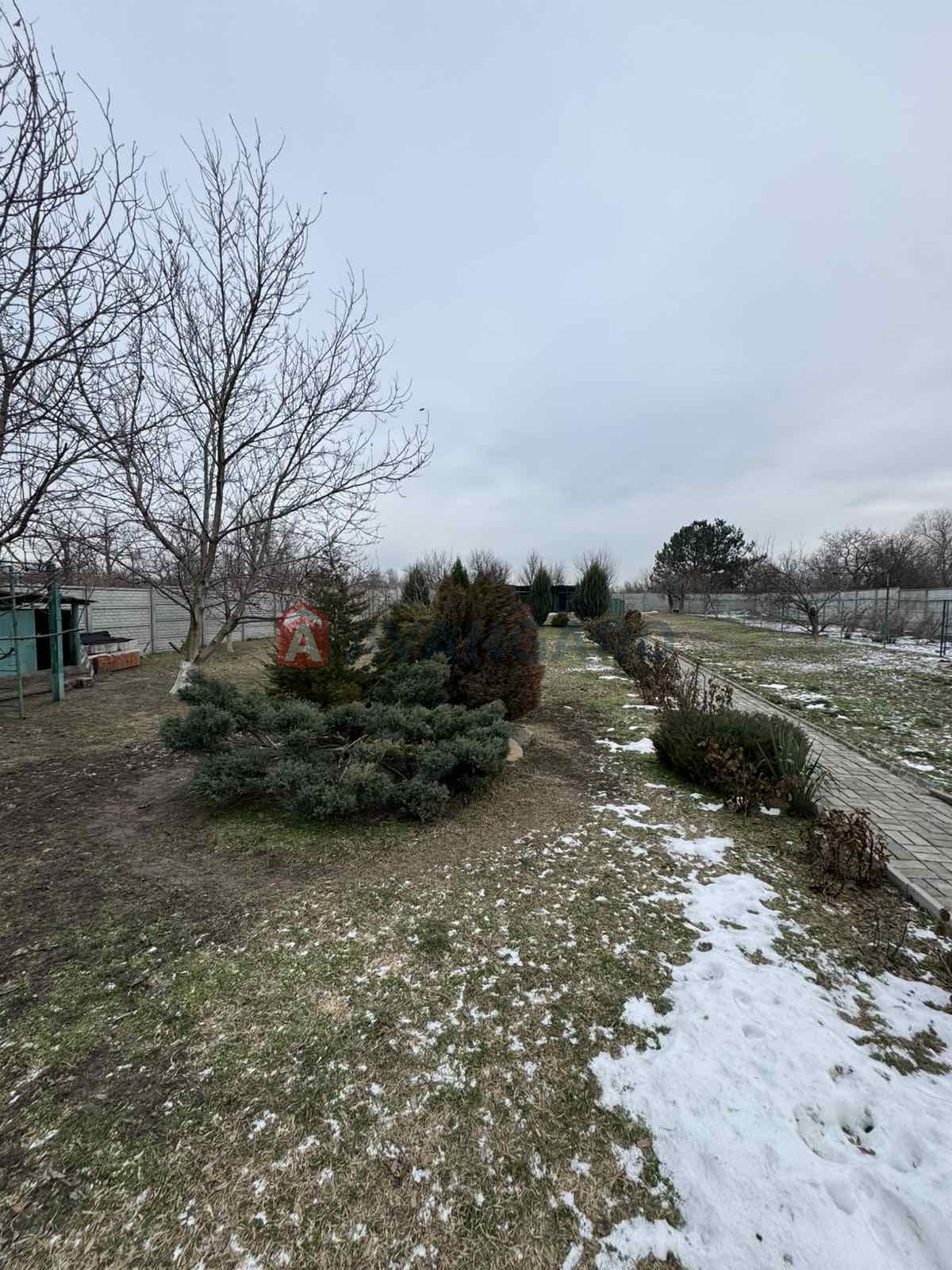 �������, 130 ��.�. ���� 20