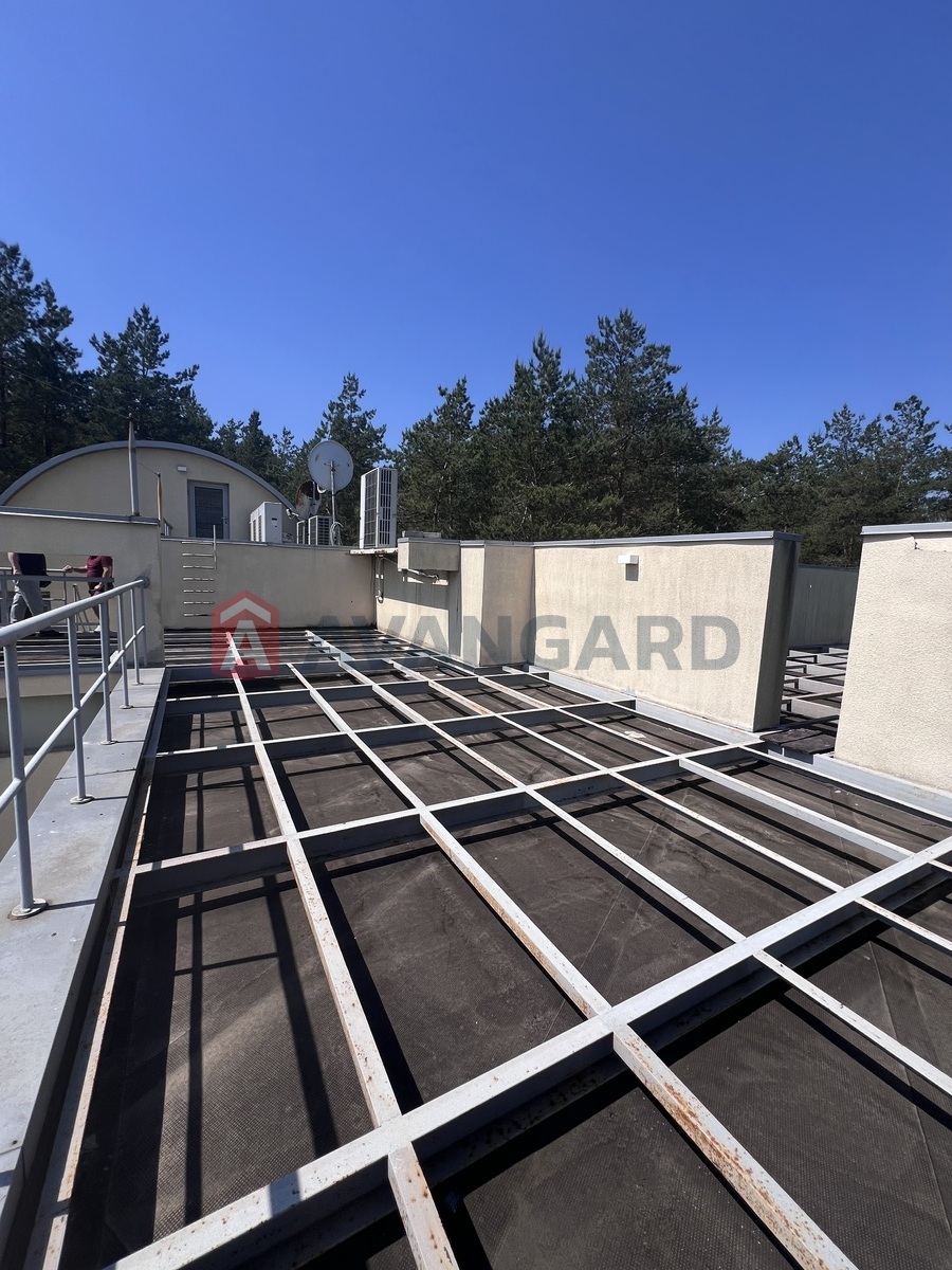 550 ��.�. ���� 19